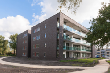 Quisque volutpat mattis ero nullam males uada